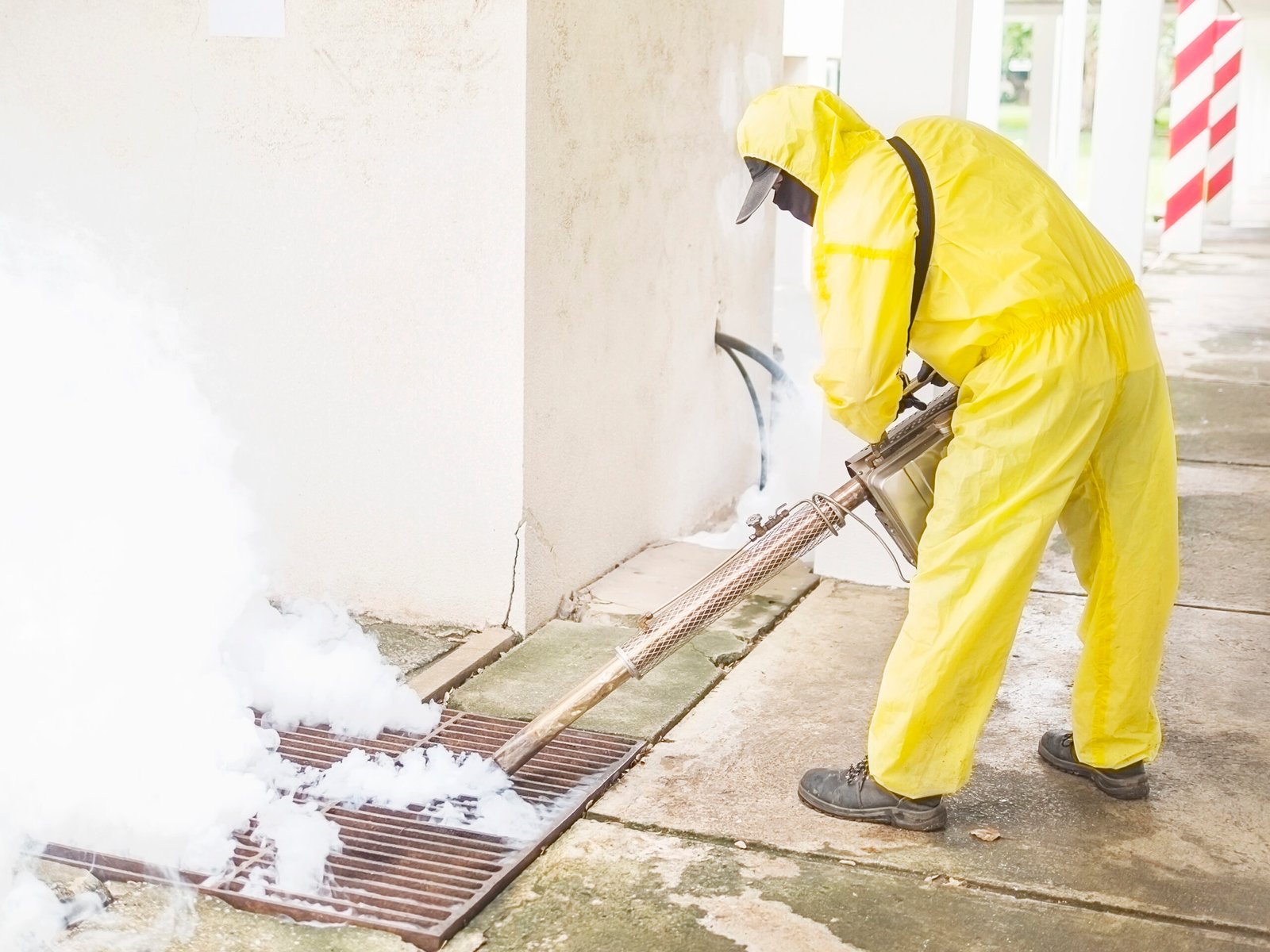 Ant-Control-Toronto: Proven Strategies to Keep Your Home Pest-Free Year-Round